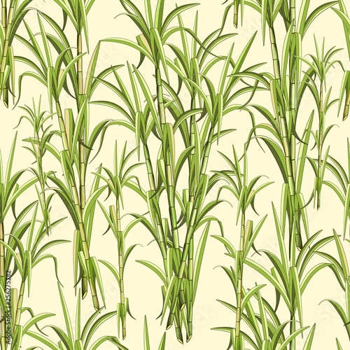 Fototapeta Naklejka Na Ścianę i Meble -  Sugar Cane Exotic Plant Seamless Pattern Vector Design