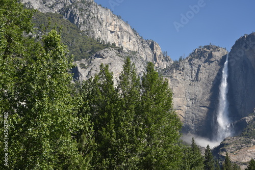 Yosemite National Park, CA., U.S.A. June 25, 2017. Yosemite Falls seen from the Valley floor meadow from the Southside drive.  Dynamic Upper and Lower Yosemite Falls peak water fall. photo