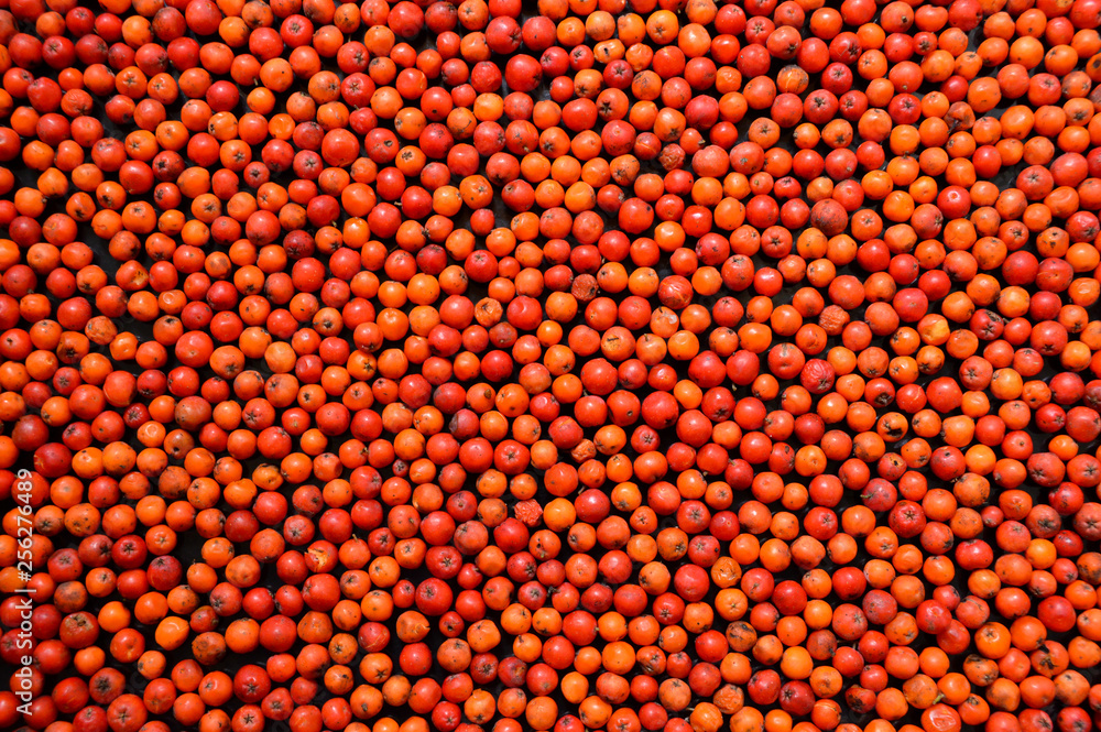 abstract orange background abstract orange background