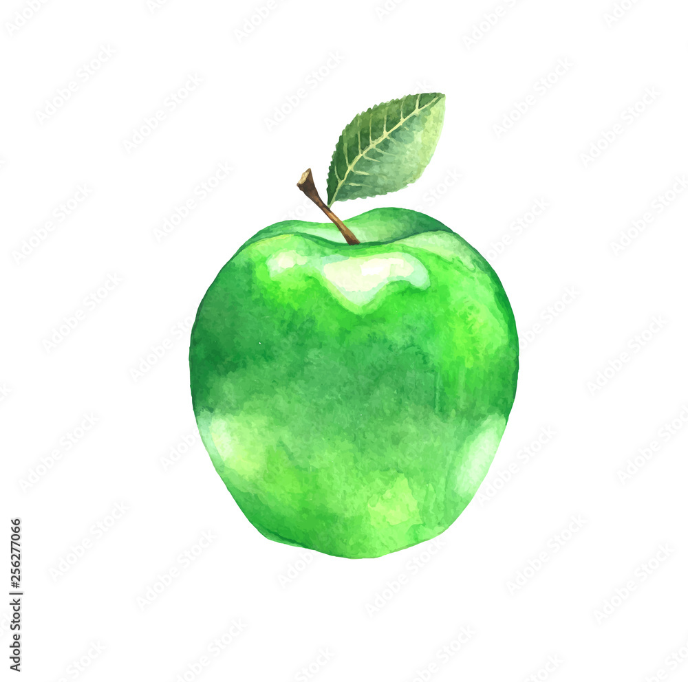 Watercolor green apple with leaf. Illustration of a sweet fruit on a white background. Isolated drawing. Watercolor green apple with leaf. Illustration of a sweet fruit on a white background. Isolated drawing.