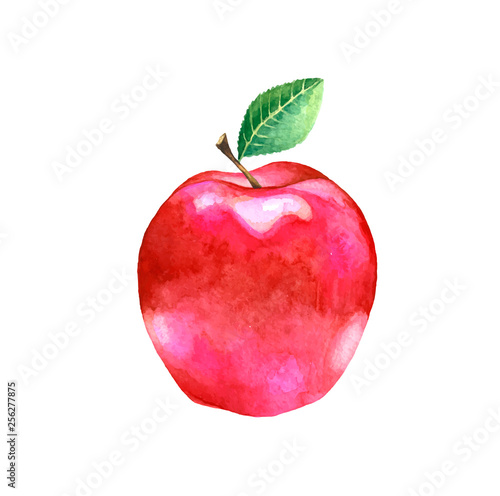 Watercolor red apple