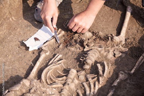 Archaeological excavations. The archaeologist in a digger process, researching the tomb, human bones, part of skeleton in the ground. Hands with knife. Close up, outdoors, copy space.