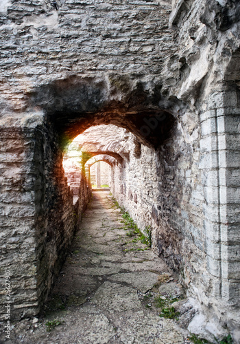 Ancient ruined St. Brigitta convent   1436 year   in Pirita region  Tallinn  Estonia
