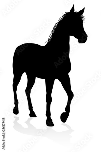 A high quality very detailed horse in silhouette