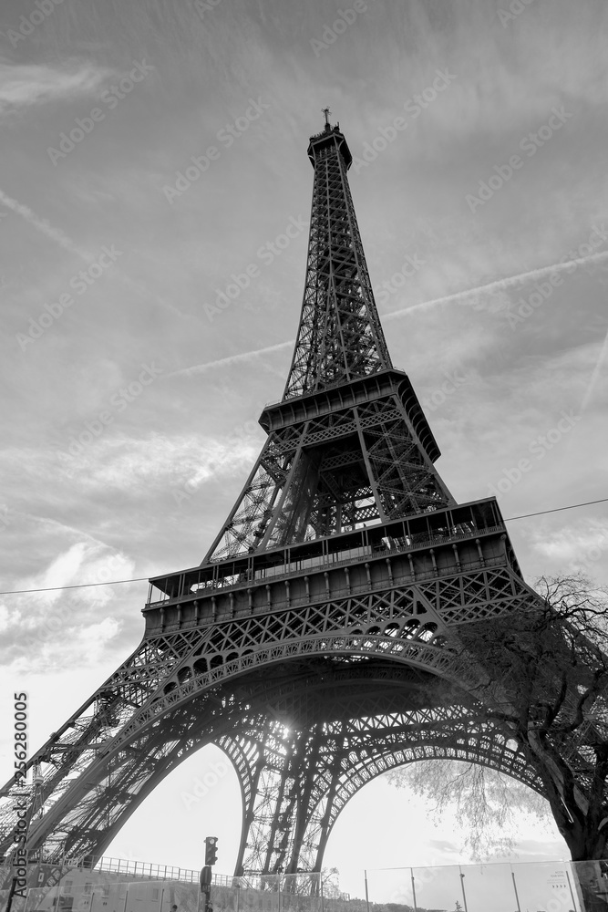Eiffel Tower in Black White