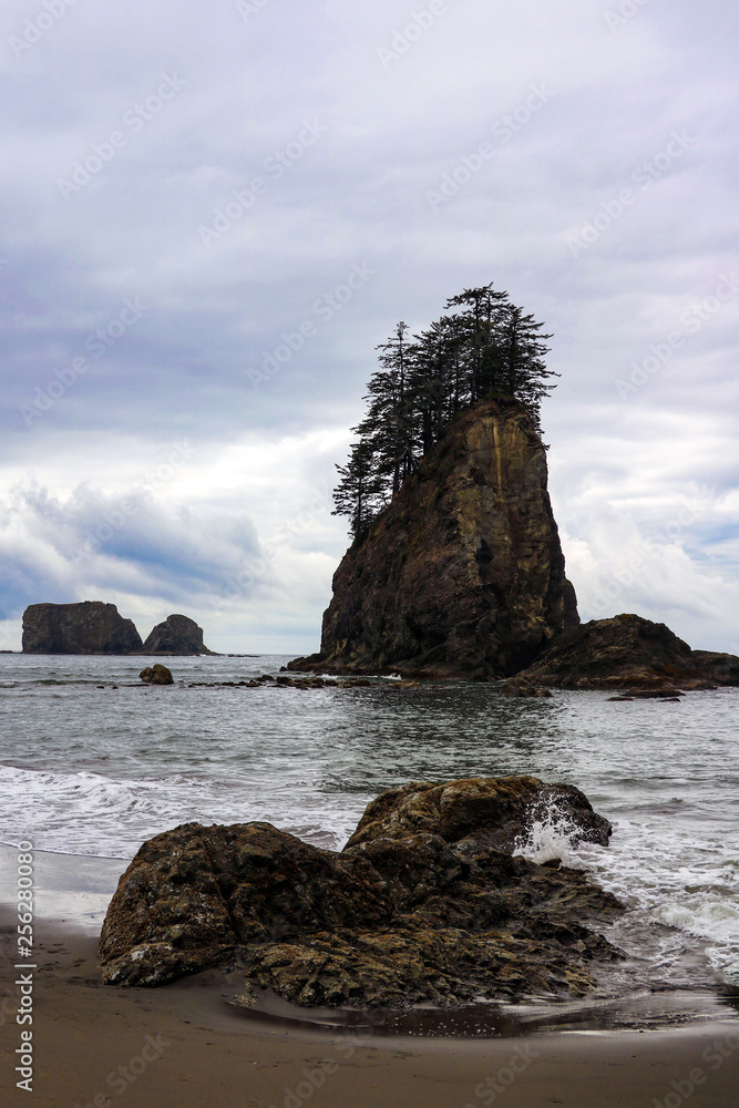 Beautiful view of the beach in the Olympic National Park, Washington, USA.