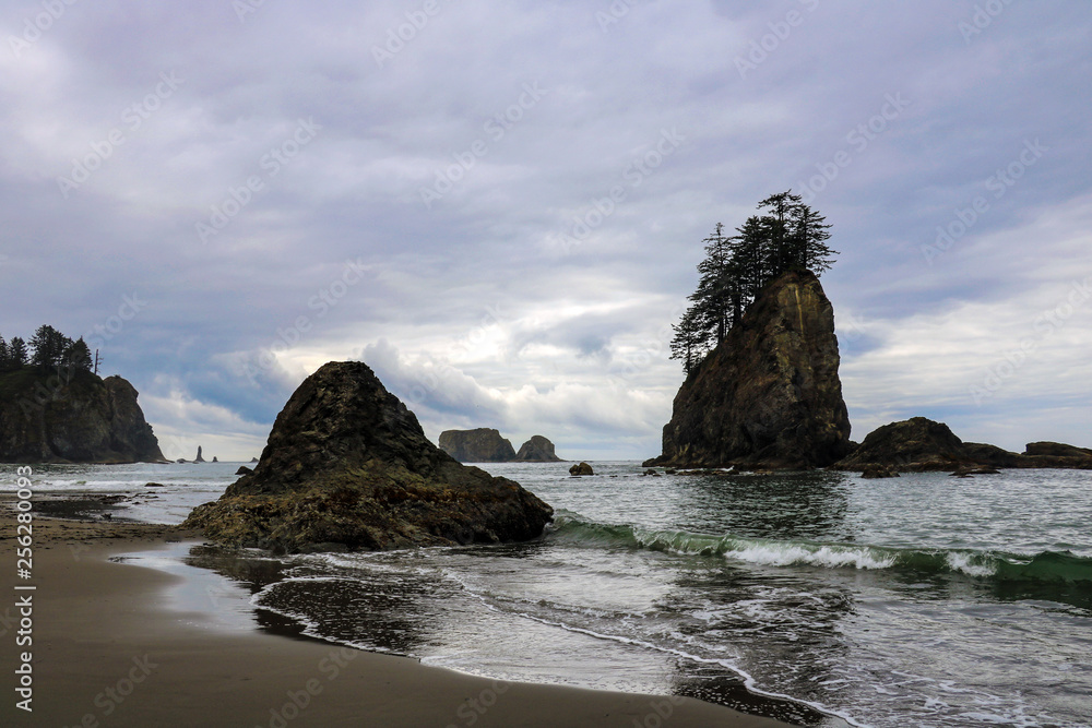 Beautiful view of the beach in the Olympic National Park, Washington, USA.