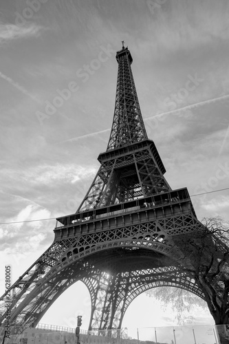 Fototapeta Naklejka Na Ścianę i Meble -  Eiffel Tower in Black White