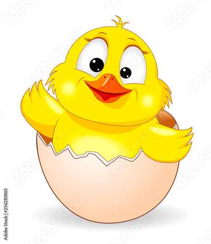 Cute chick was born 1. Little yellow chicken on white background. Cartoon chick peeking out of an eggshell