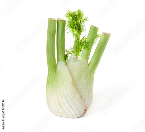 fennel bulb isolated on white