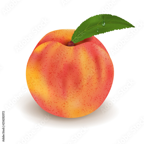 Realistic Ripe peach whole and green leaves with drops. Juicy fruit 3d illustration high detail isolated on white background. Vector