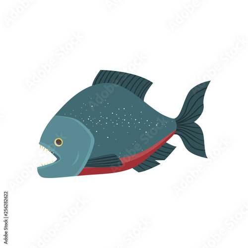 Rare fish with transparent head isolated on white background
