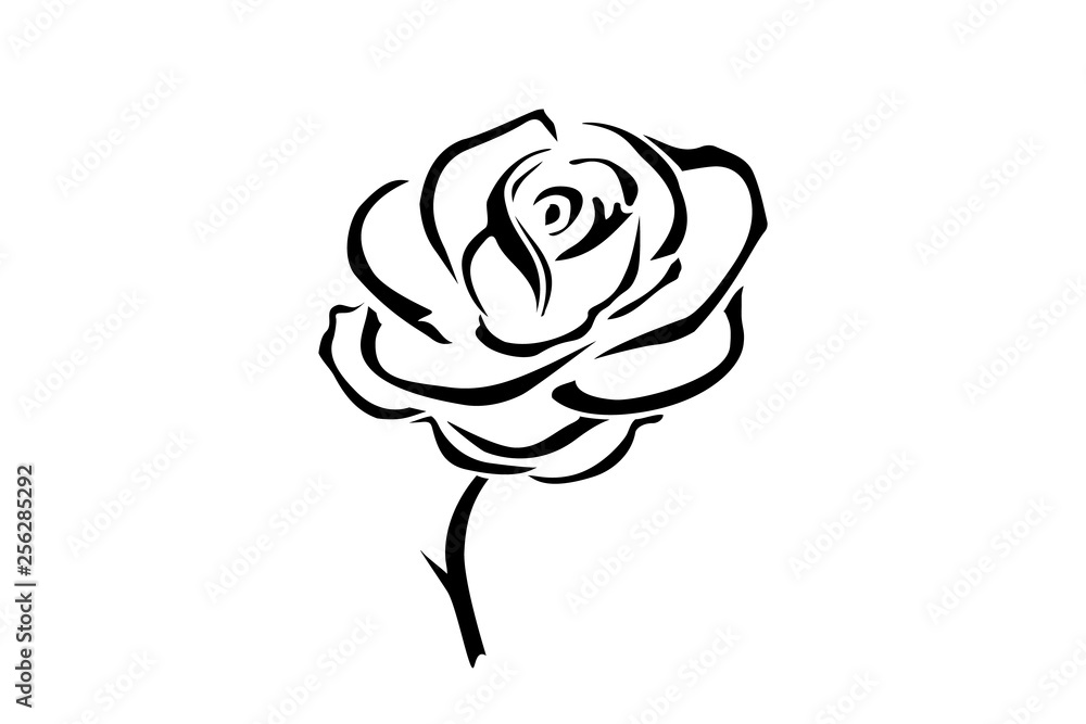 Fototapeta Hand drawn rose. Flowers rose, black and white vector outline icon. Flower logotype concept icon. Rose logo.