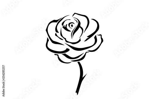 Hand drawn rose. Flowers rose, black and white vector outline icon. Flower logotype concept icon. Rose logo.