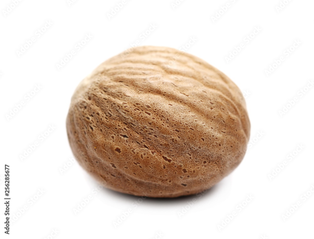 Macro nutmeg isolated on white background Macro nutmeg isolated on white background