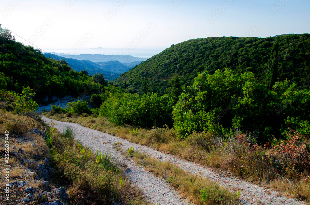 Road between mountains