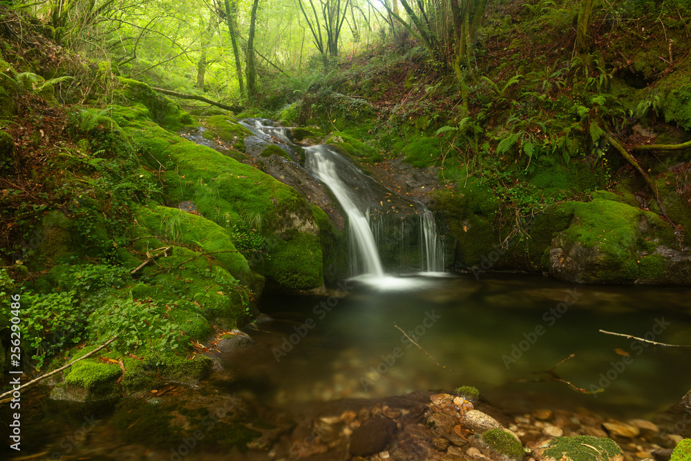 Sequeiros River Waterfall Sequeiros River Waterfall