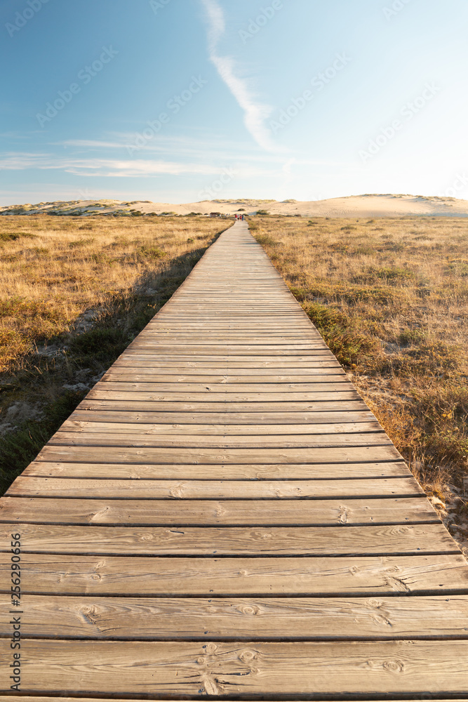 Obraz premium Access to the Corrubedo Dunes