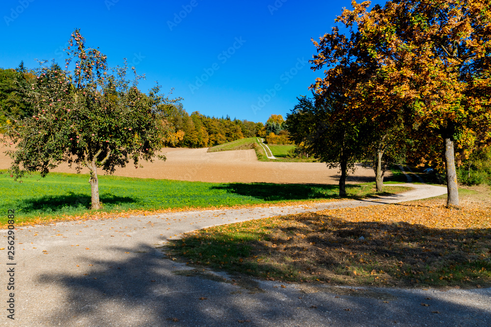 autumn landscape, hiking path along touristic route Romantic Road, Buchdorf, Germany. Blue sky autumn landscape, hiking path along touristic route Romantic Road, Buchdorf, Germany. Blue sky