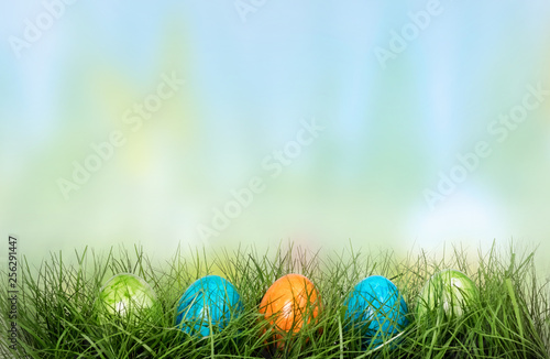 Row of Easter eggs in Fresh Green Grass defocused background