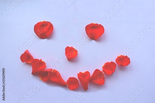  smile from rose petals