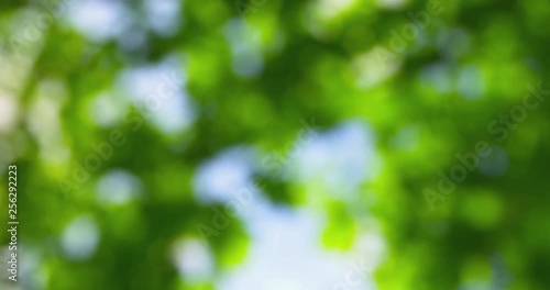 Wallpaper Mural Springtime impressions - completely defocused shot of beautiful foliage on a beautiful spring day - camera pan - ProRes Torontodigital.ca