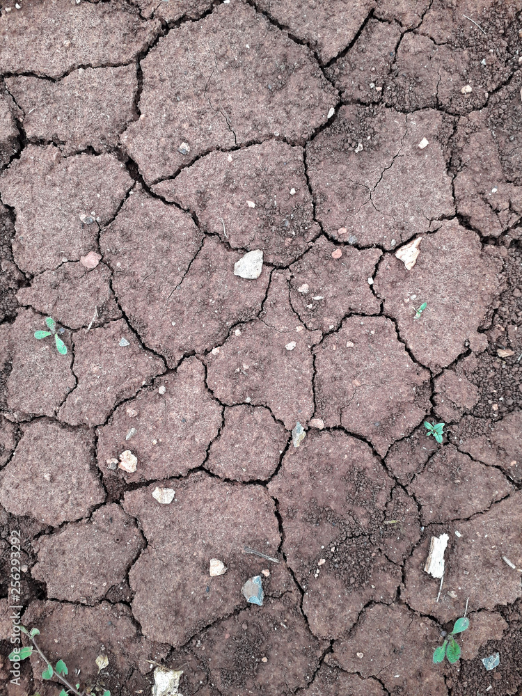 dry cracked earth ground soil pattern elephant skin background dry cracked earth ground soil pattern elephant skin background