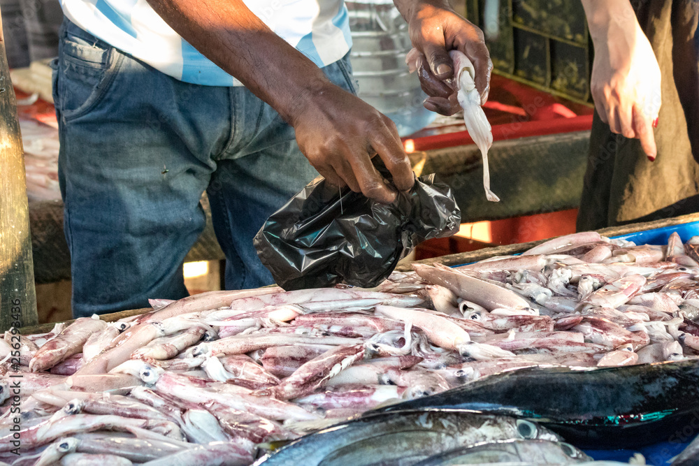 Fisherman putting fresh fish on bag selling at the local fish market in Galle, Sri Lanka