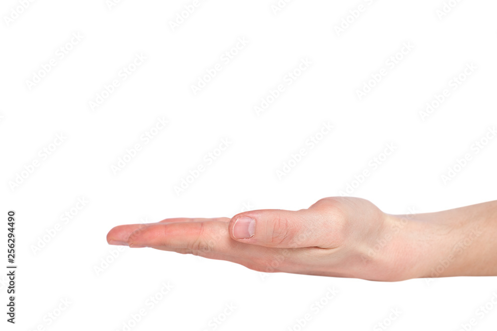 Close up hand with the palm up receiving or holding something. Isolated on white background. Helping hand. Close up hand with the palm up receiving or holding something. Isolated on white background. Helping hand.
