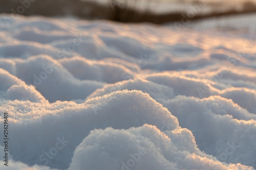 Nature covered by snow during winter. Slovakia