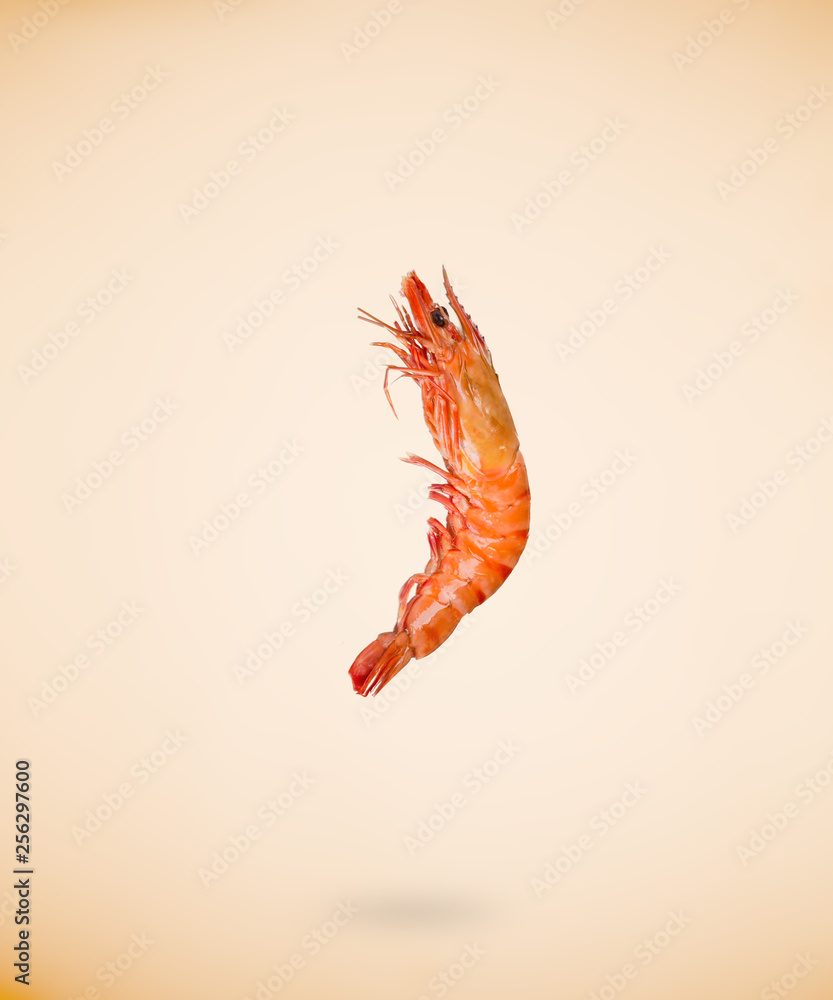 Back view of prawn isolated on beige background. Close-up. Back view of prawn isolated on beige background. Close-up.