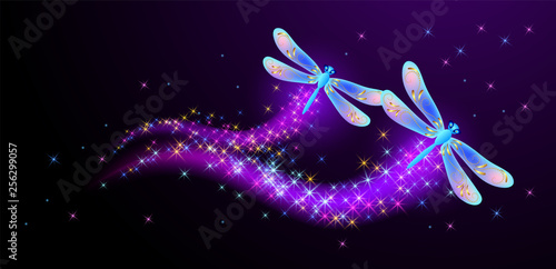 Flying dragonfly with sparkle and blazing trail