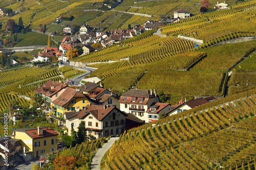 Vineyards in autumn with view of winemaking villages Epesses and Riex, Lavaux, Canton of Vaud, Switzerland, Europe photo