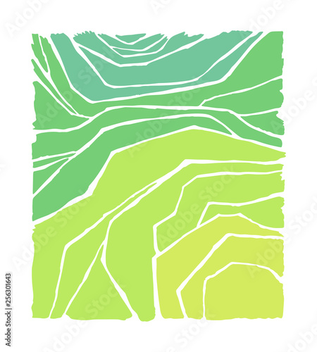Vector rice or tea plantation on cascades field
