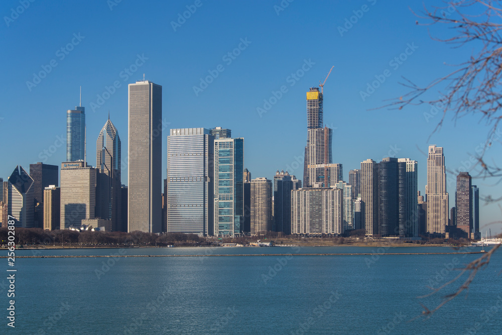 Obraz premium Architektura miejskich ulic miasta Chicago