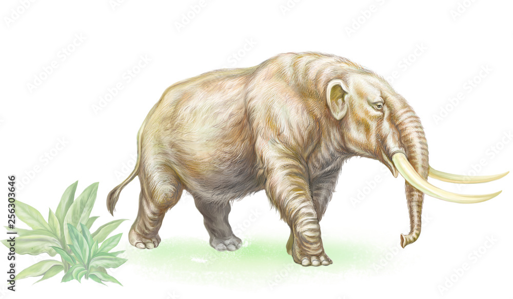 mammoth mammoth