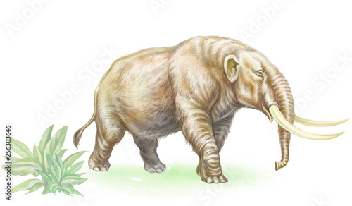 mammoth