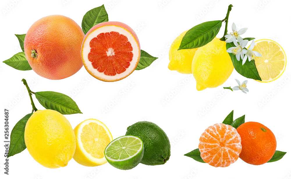 Collage of fresh citrus isolated on white background with clipping path Collage of fresh citrus isolated on white background with clipping path