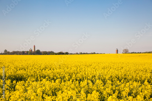 Germany, Ruegen, Cape Arkona, Cape Arkona Lighthouse, Schinkel Tower and Positioning Tower, Peilturm at oilseed field photo