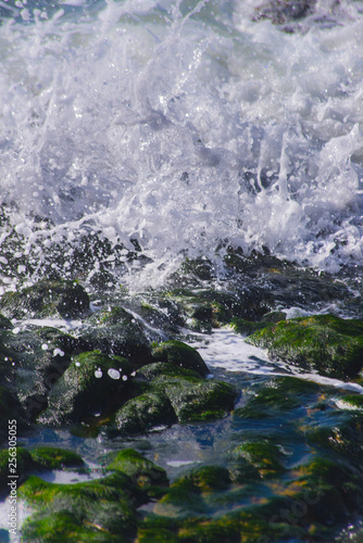 Closeup Macro Style Image of a Pacific Ocean Wave Breaking Over Algae Covered Rocks