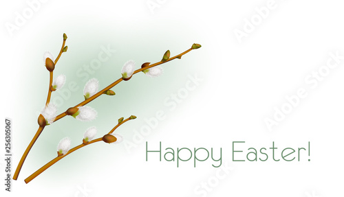 Weidenkätzchen Zweig mit Ostergrüße Frühlingsblume in der Osterzeit,  Vektor Illustration isoliert auf weißem Hintergrund