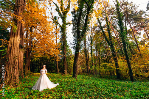  bride in wedding dress stands in the autumn park.