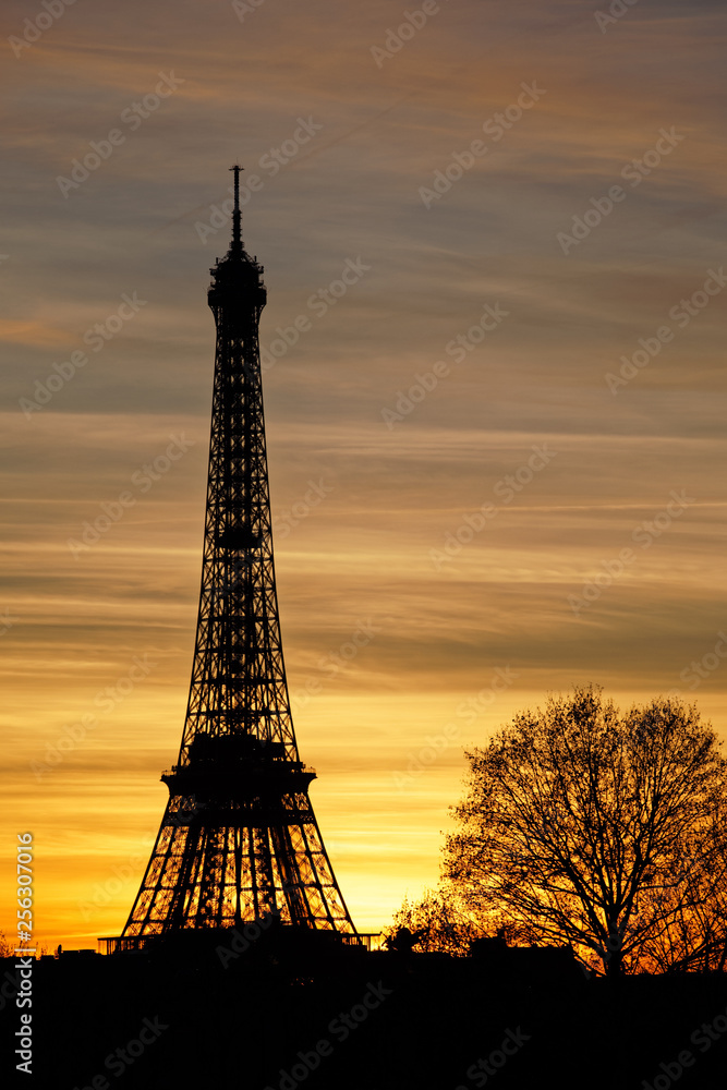 Paris, France - February 13, 2019: Eiffel tower at sunset viewed from Tuileries garden
