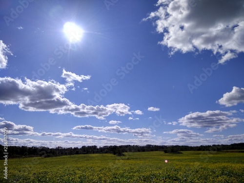 Landscape stock