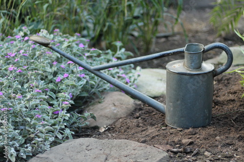 watering can in the garden