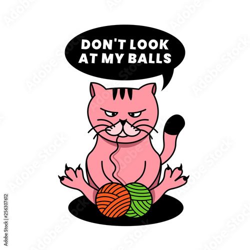 Cat with the balls. Don't Look At My Balls.
