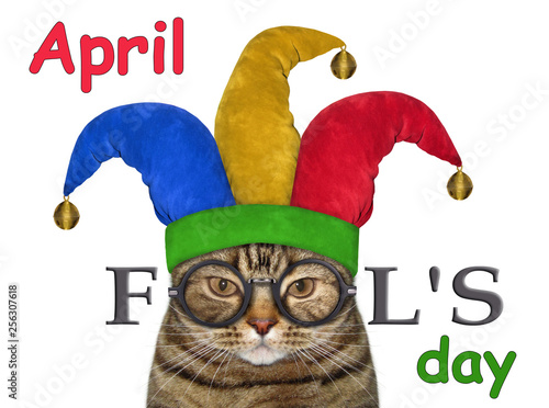 The funny cat is wearing a jester hat and glasses. April fools day. White background. Isolated. photo