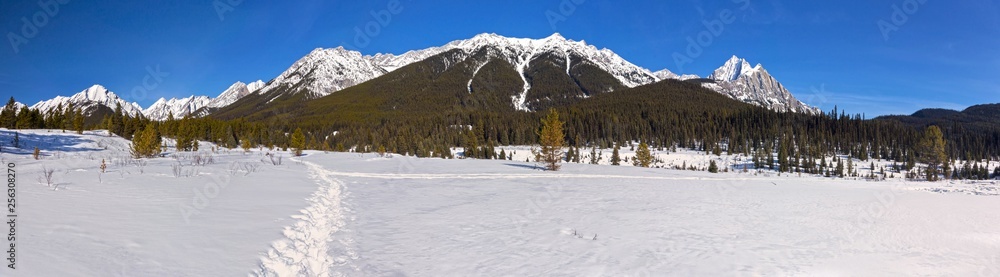Distant Snowy Mountain Peaks Wide Panoramic Landscape in Banff National Park Snowshoeing Remote Backcountry Wilderness of Sawback Range above Johnston Canyon in Springtime