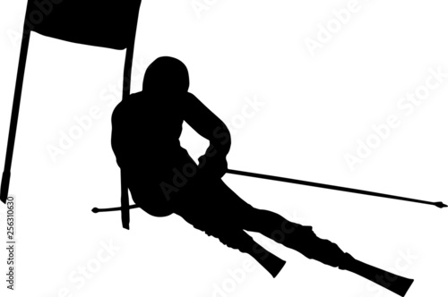Slalom géant