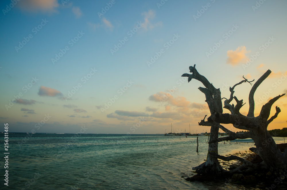 Fototapeta premium mahahual